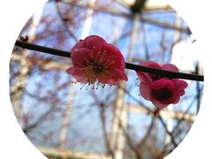 -北京鹫峰国家森林公园
