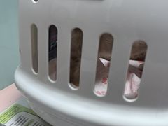 -嘉馨宠物医院·CT影像转诊·心脏科·犬猫全科诊疗中心(下沙大学城院区)