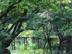 -西溪南古村落景区