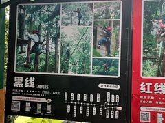 -芦仙山景区-飞越丛林探险乐园