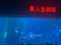 -福州罗源湾海洋世界旅游区