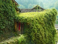 -杨家堂村
