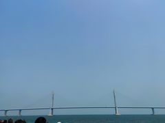 -招商蛇口邮轮母港(观光客运)