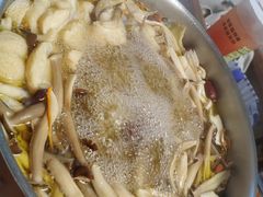 -菌极鲜野生菌火锅店(阳明祠店)