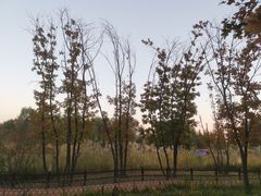 -林栖谷森林康养度假区
