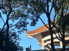 -广州市帽峰山景区