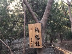 -白水寺森林公园