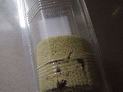-红宝石·鲜奶小方·海派西点房(金杨店)