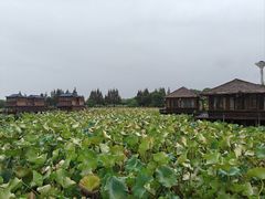 -军山湖云水间水上餐厅(进贤店)