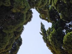 -小麦岛公园
