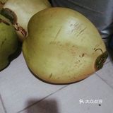早餐来一杯椰子汁，椰子的清香回味无穷