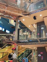 -卡通尼·Safari非洲探索乐园·生日会(金桥国际商业广场店)