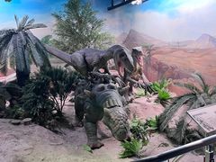 -国家自然博物馆