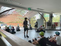 -圣淘沙天际线斜坡滑车