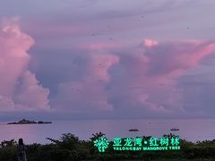 -三亚亚龙湾红树林度假酒店