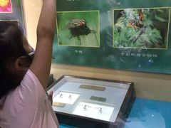 -上海昆虫博物馆