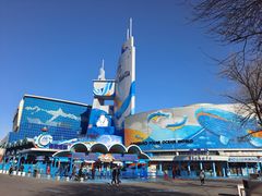 -海合安青岛极地海洋公园