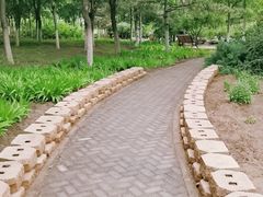 -大兴滨河森林公园