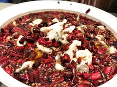 -宏宴·新京菜(望京店)