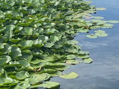 -北京北辰洲际酒店