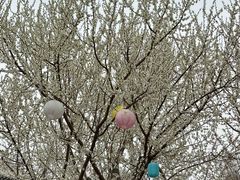 -三里河公园