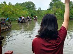 -溱湖国家湿地公园