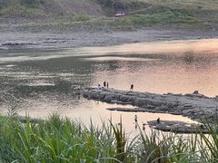 -金海湾滨江公园