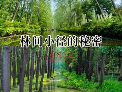 -合肥生态公园