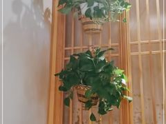 -管氏翅吧(国展店)