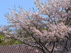 -浙江西子宾馆·牡丹厅