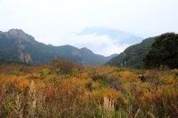 -灵山