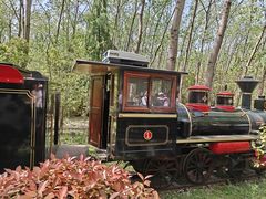 -合肥滨湖国家森林公园