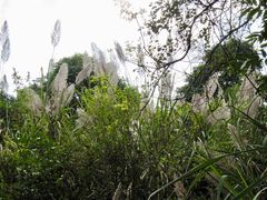 景点-湖光岩风景区