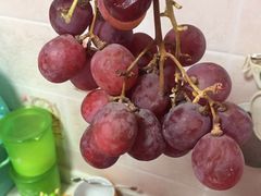 -乐乐鲜果水果超市(河北店)