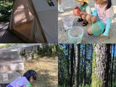 -洛阳白云山景区