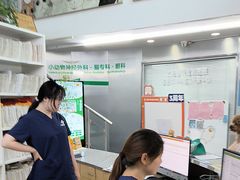 -爱侣宠医·鹦鹉专科·小型哺乳类·异宠专科(灵石路店)