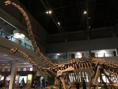 -自贡恐龙博物馆