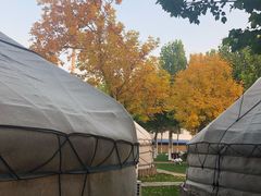 -九十九顶毡房(阜石路店)