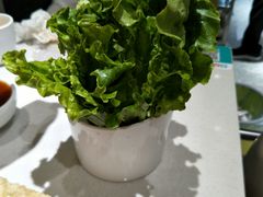 -古乐牛香·鲜牛肉牛杂火锅(新区店)