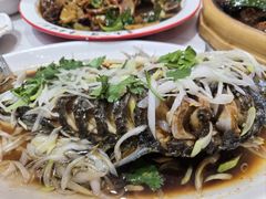 -鲁南仔·滕州炒鸡(经三路店)