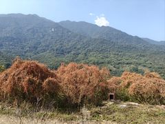 -福清灵石山国家森林公园