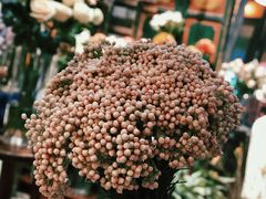 -西关84·History·Art·Cafe