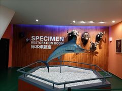 -贝林大翅鲸简餐厅(国家海洋博物馆店)