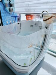 -馨月汇·独栋月子会所(静安店)