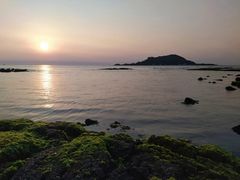 -涉地可支
