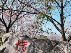 -自然谷恐龙园