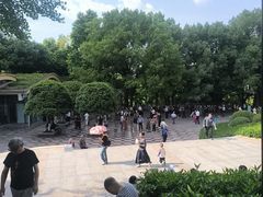 -龙头寺公园