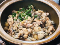 -红星光发煲仔饭(文海店)