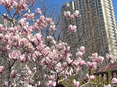 -贮水山儿童公园