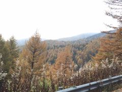 -芦芽山旅游度假区